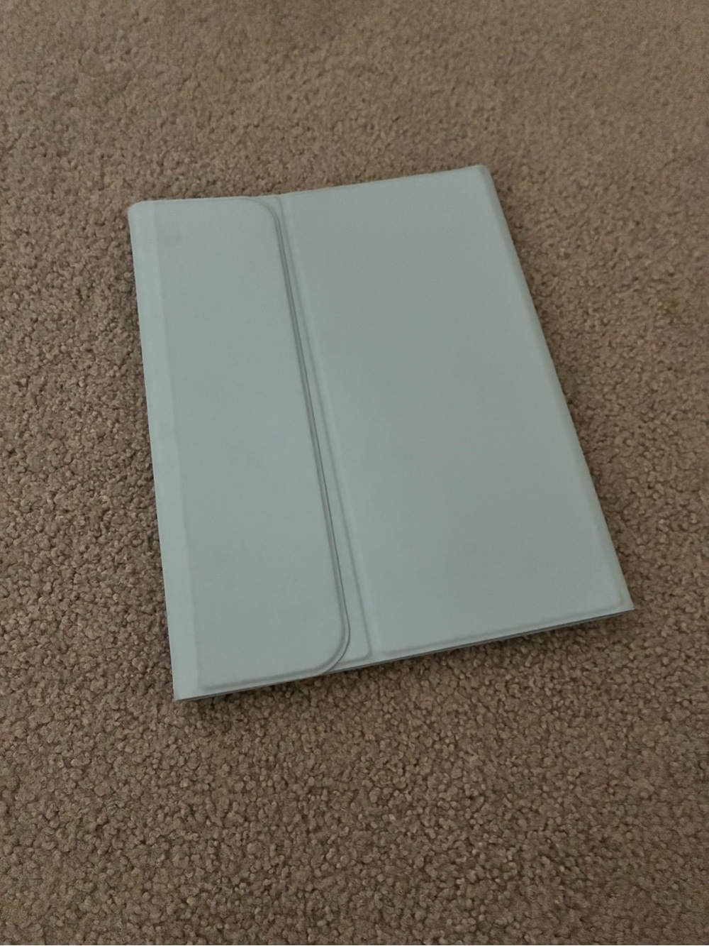 Ipad 10 light blue screen cover